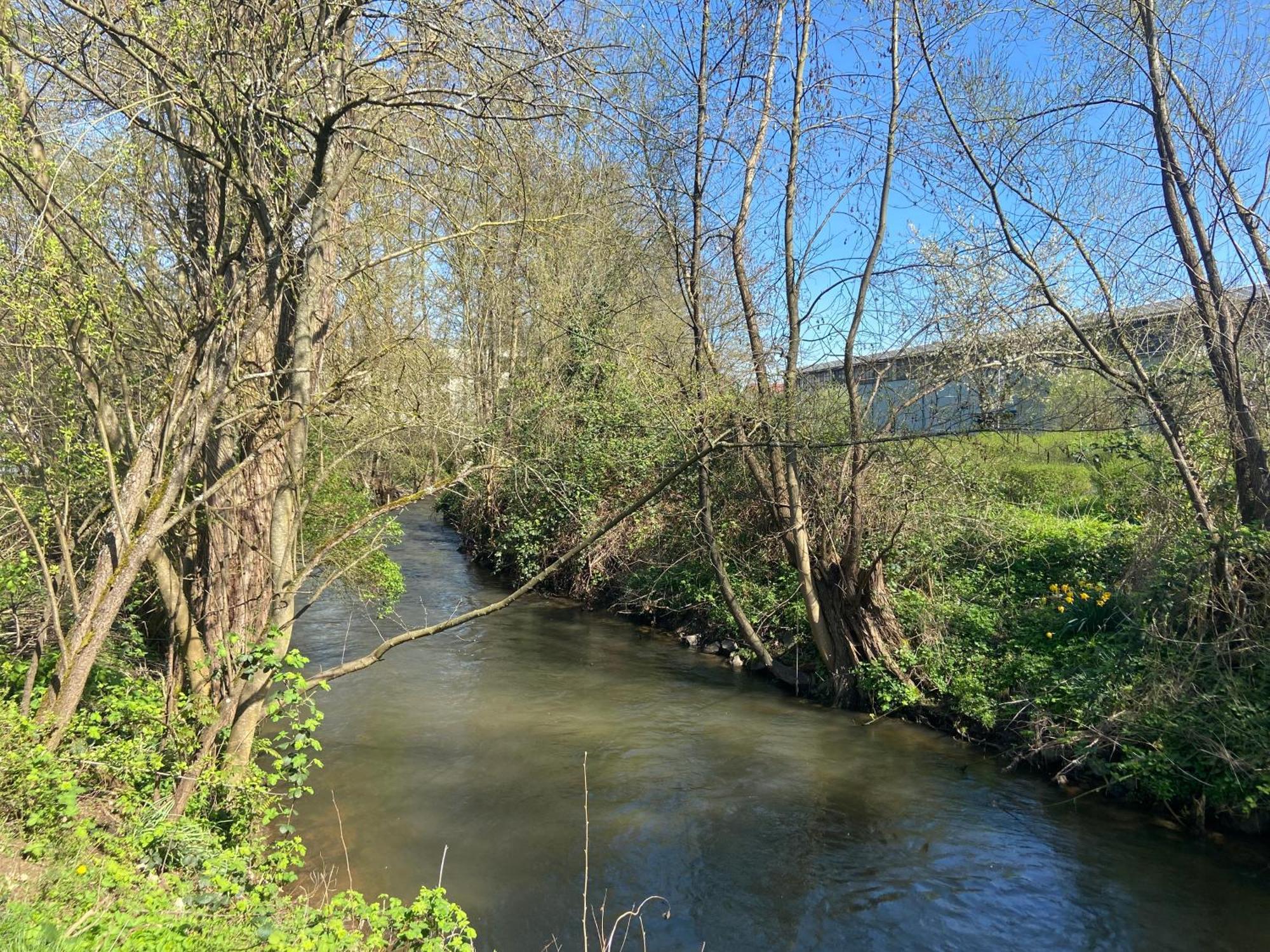 Ferienwohnung Am Erbacher Muemlingufer Erbach  Bagian luar foto